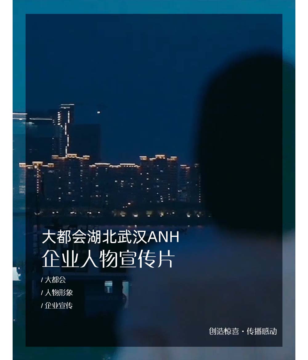 大都会湖北武汉ANH企业人物宣传片