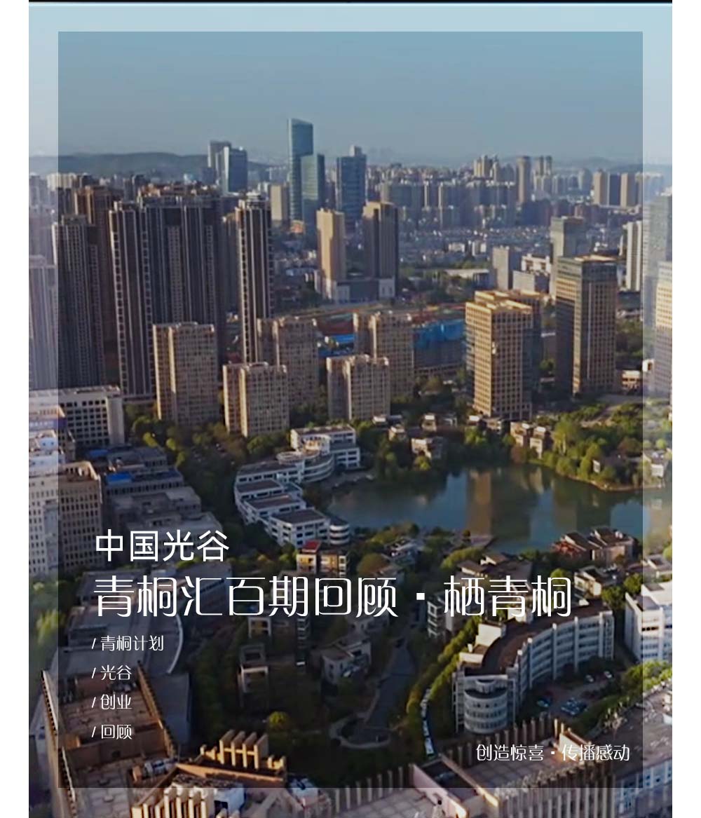 中国光谷青桐会百期回顾·栖青桐