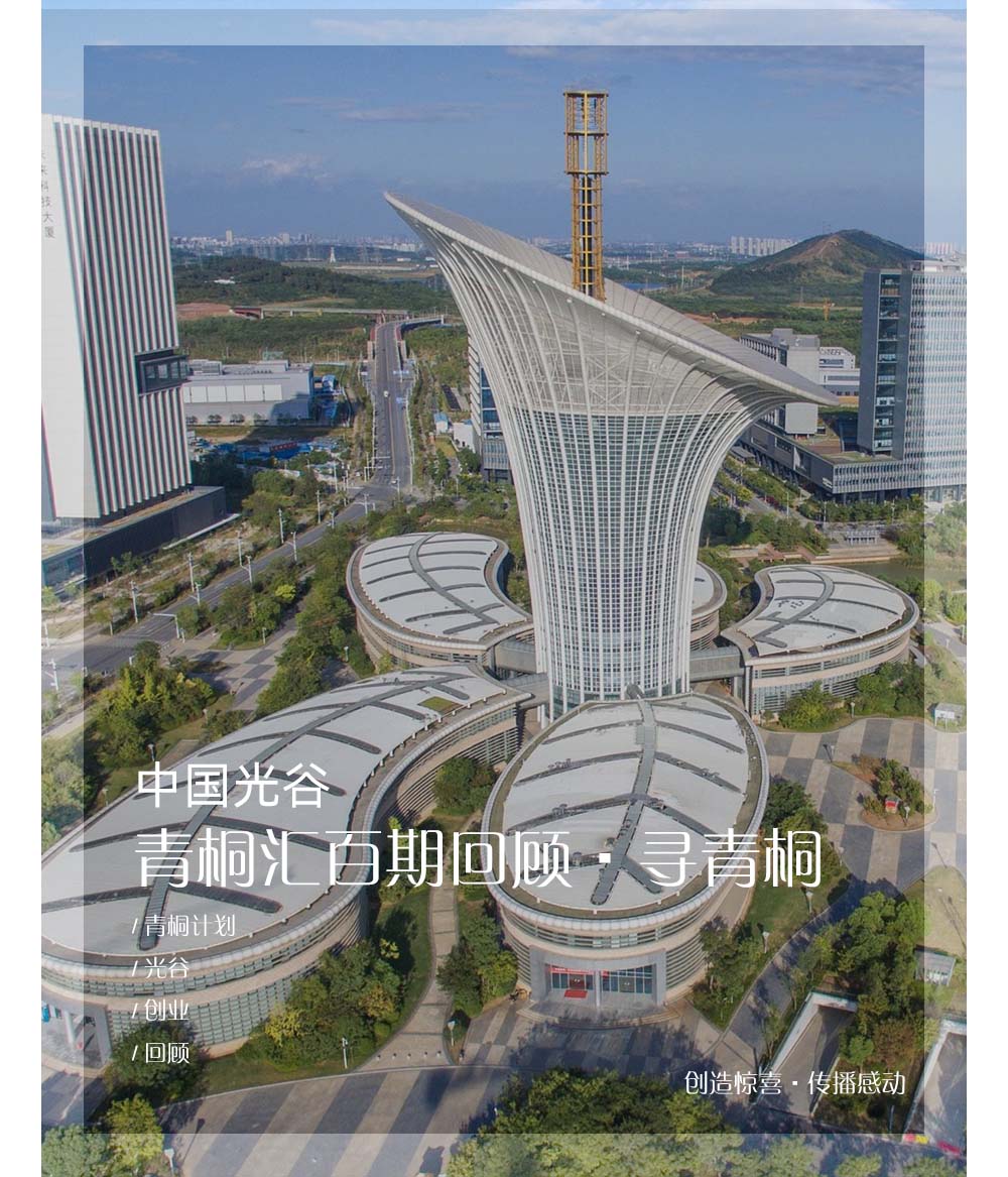 中国光谷青桐会百期回顾·寻青桐