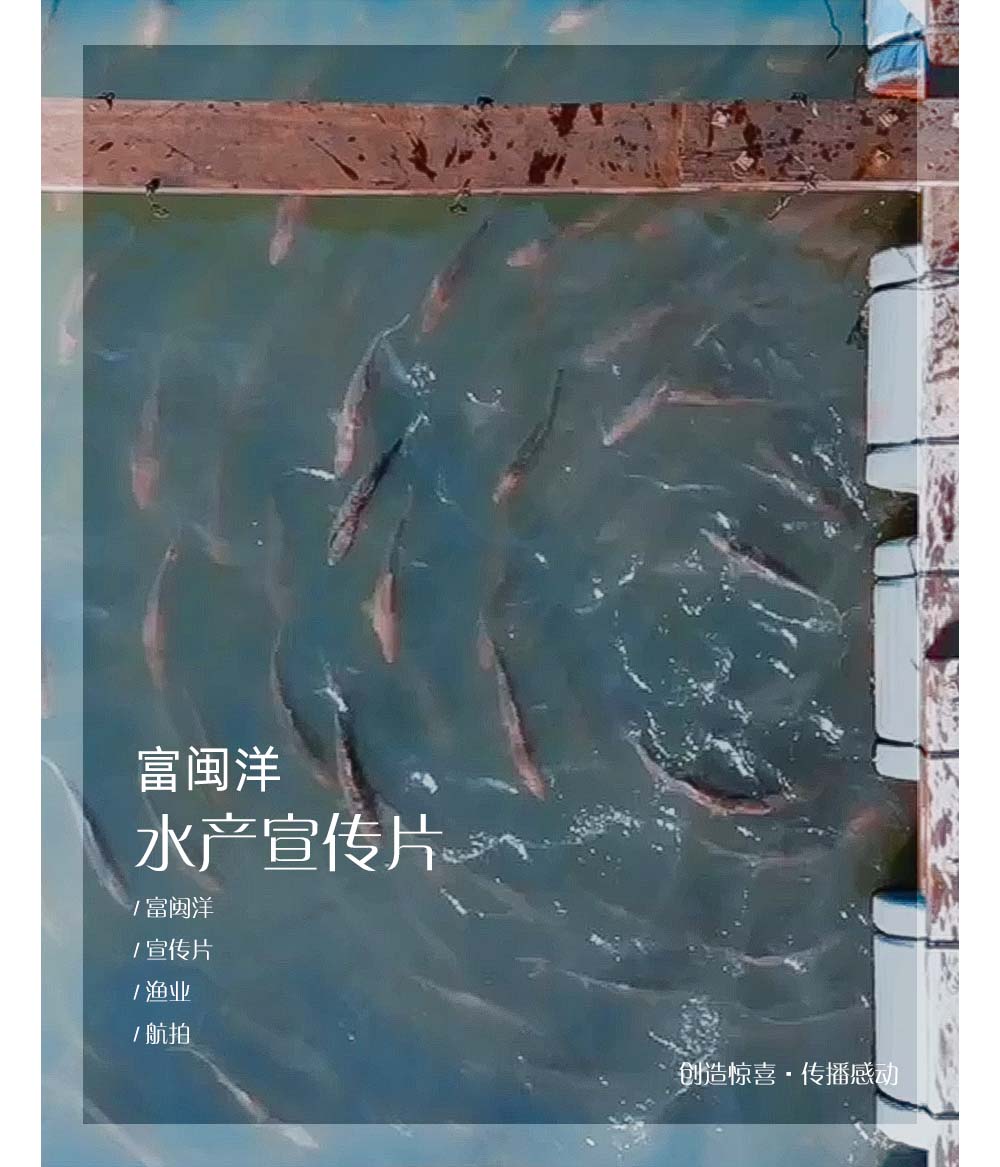 富闽洋水产宣传片